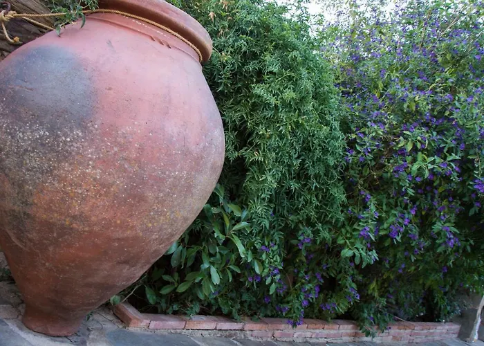 Vieja Летний дом